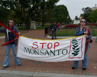 Anti Monsanto GMO Rally