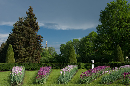 Flower beds in Petrhof /  ©  Still ePsiLoN
