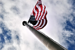 The US Flag Flies under Open Skies (Dinosaur N...