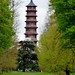 Kew Pagoda, Royal Botanic Gardens, Kew @ 4 April 2014