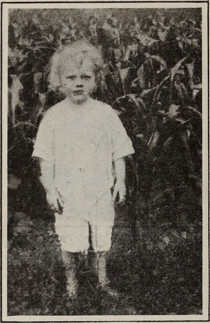 Image from page 401 of Baltimore and Ohio employees magazine (1912)