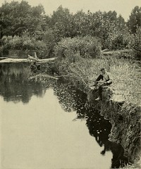 Image from page 420 of "Outing" (1885)