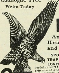 Image from page 144 of "Rod and gun" (1898)