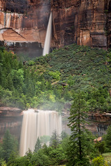 Flash Flooding in Zion