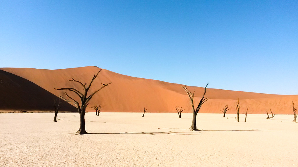The Trees in Dead Vlei, Namibia
