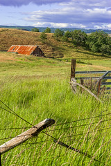 Zigzags: fence, hills and barn