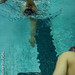17.02.14_Swimming_Mens_Semi-Finals_Stuyvesant HS (Jesi Kelley)-001-1212