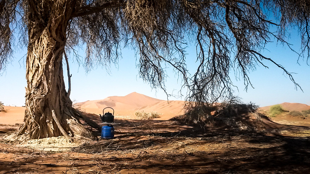 Coffee Time, Dead Vlei, Namibia