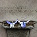 Two origami butterflies on the Tribune Tower rock ledge
