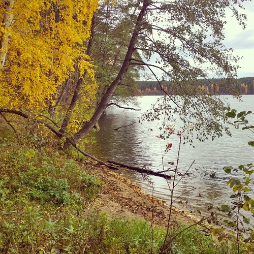 By the #forest #lake. #Autumn. . # # ###Ural ©  D0NM