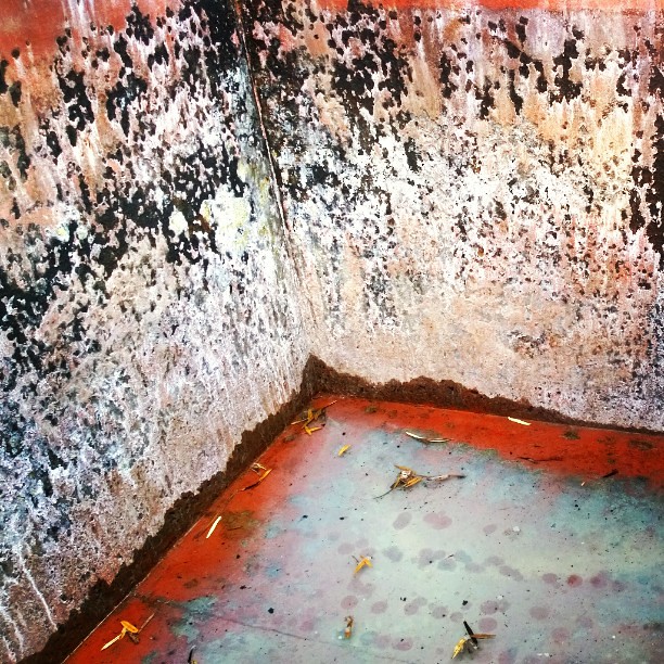 : An inner bottom corner of my rusty #water #tank.    .     .