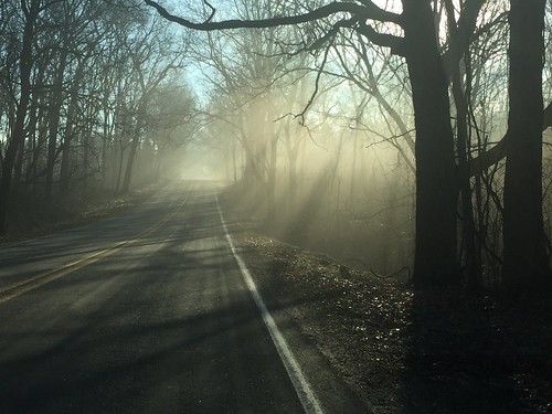 Foggy drive to work ©  joannapoe