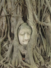Wat Phra Mahathat <a style="margin-left:10px; font-size:0.8em;" href="http://www.flickr.com/photos/83080376@N03/15537234517/" target="_blank">@flickr</a>