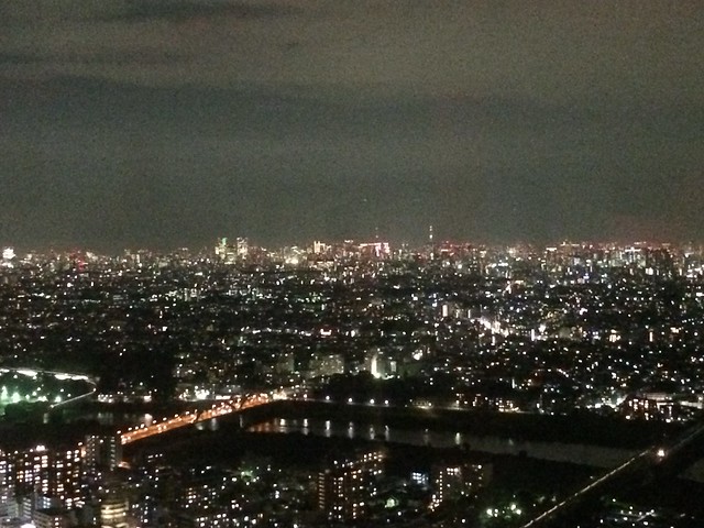 ついでに丸子橋、東京方面。。