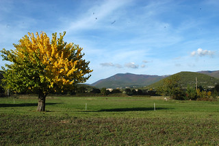 Beautiful countryside pays de Forcalquier