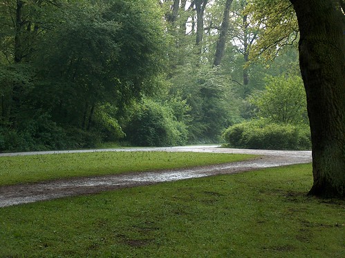 Caminho verde por Moshélio.