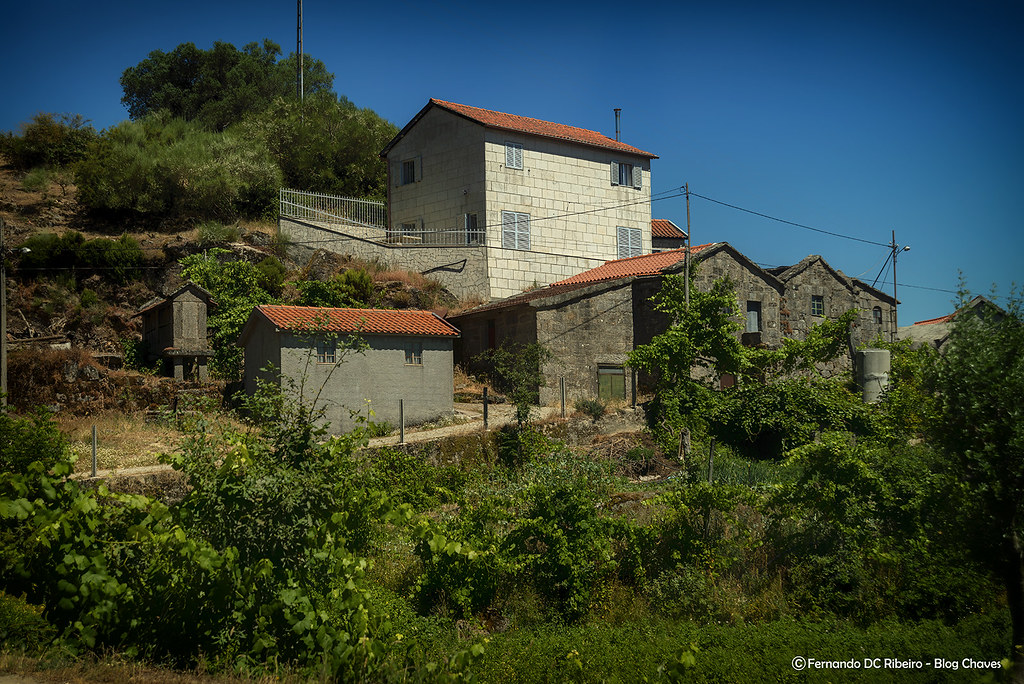 1600-s-lourenco (7)