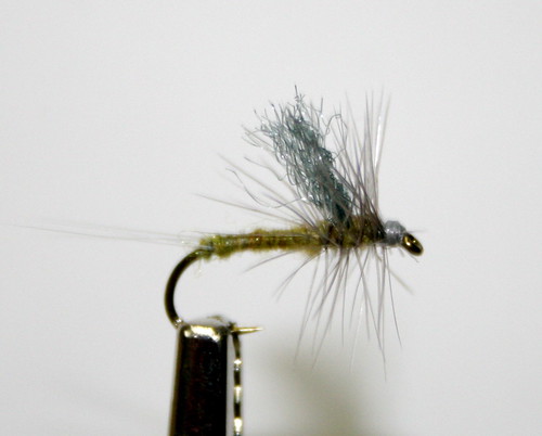 How to tie the Blue Wing Olive BWO Thorax Dun | The Caddis Fly: Oregon ...