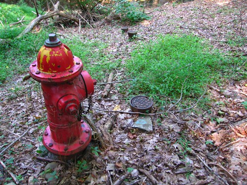 Lone hydrant in the middle of the woods