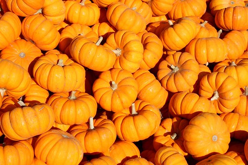 Little pumpkins :)