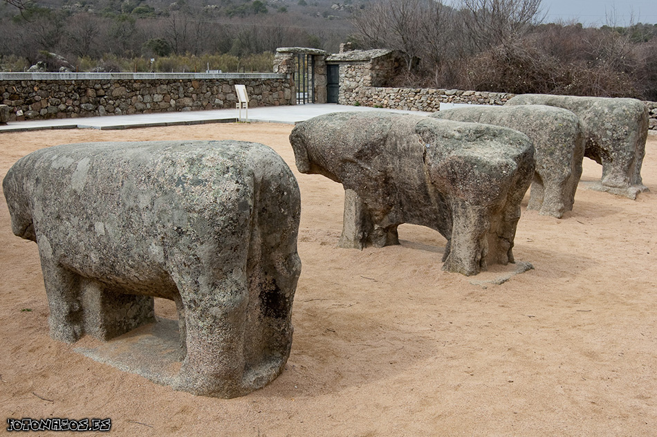 Los Toros de Guisando en Ávila
