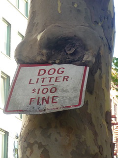 Sign being eaten by tree