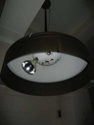 Cyclops halogen ceiling lamp