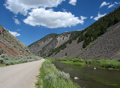 Medecine Lodge - Sheep Creek Divide (4) - Montana