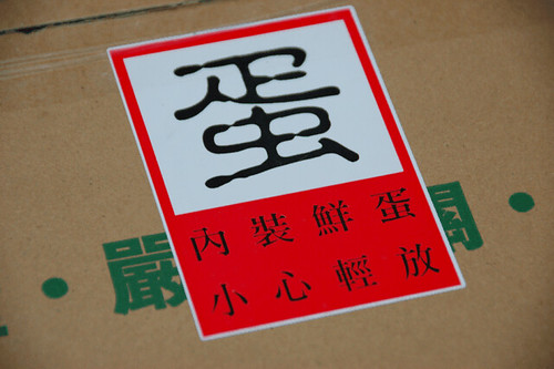 JP00009