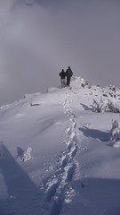 Mount Harvey November 22, 2008
