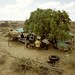 Turkana Bush Camp'72