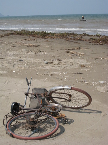 Beach detritus