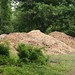 Pile of fresh wood chips