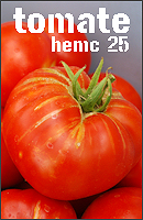 hemc 25 - tomate