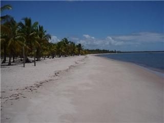 Camamu Bay - Tubaroe´s Beach, Bahia, Brazil