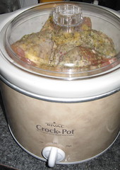 Just a wee slow cooker