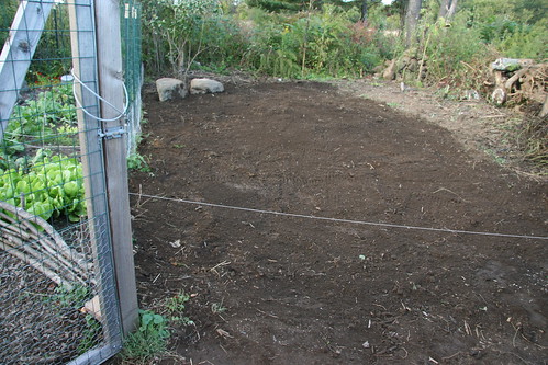 cleared plot