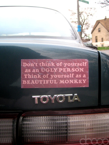 Beautiful Bumper Sticker by DR000, on Flickr