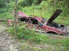 Abandoned car adventure