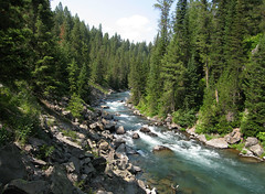 Warm River (2) - Idaho