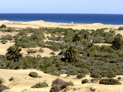 Gran Canaria - Maspalomas Dunes