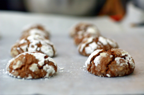 chocolate hazelnut crinkle cookies