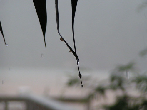 PICT0209