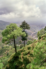 Dharamsala valley