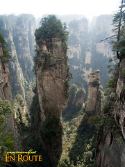 Wulingyuan's Natural Forest of Peaks