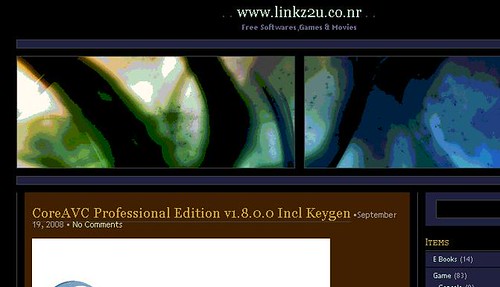 2872115343_275801ffb2.jpg