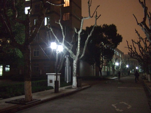 Tongji at night