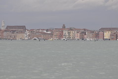 NIKON D90 - Acqua alta a Venezia e Lido m1,56 s.l.m (01/12/2008)