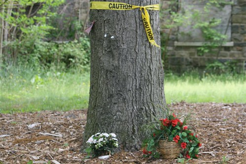 Caution tape, flowers, and wood chips