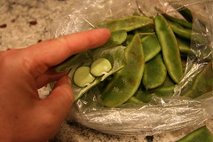 lima beans in the pod